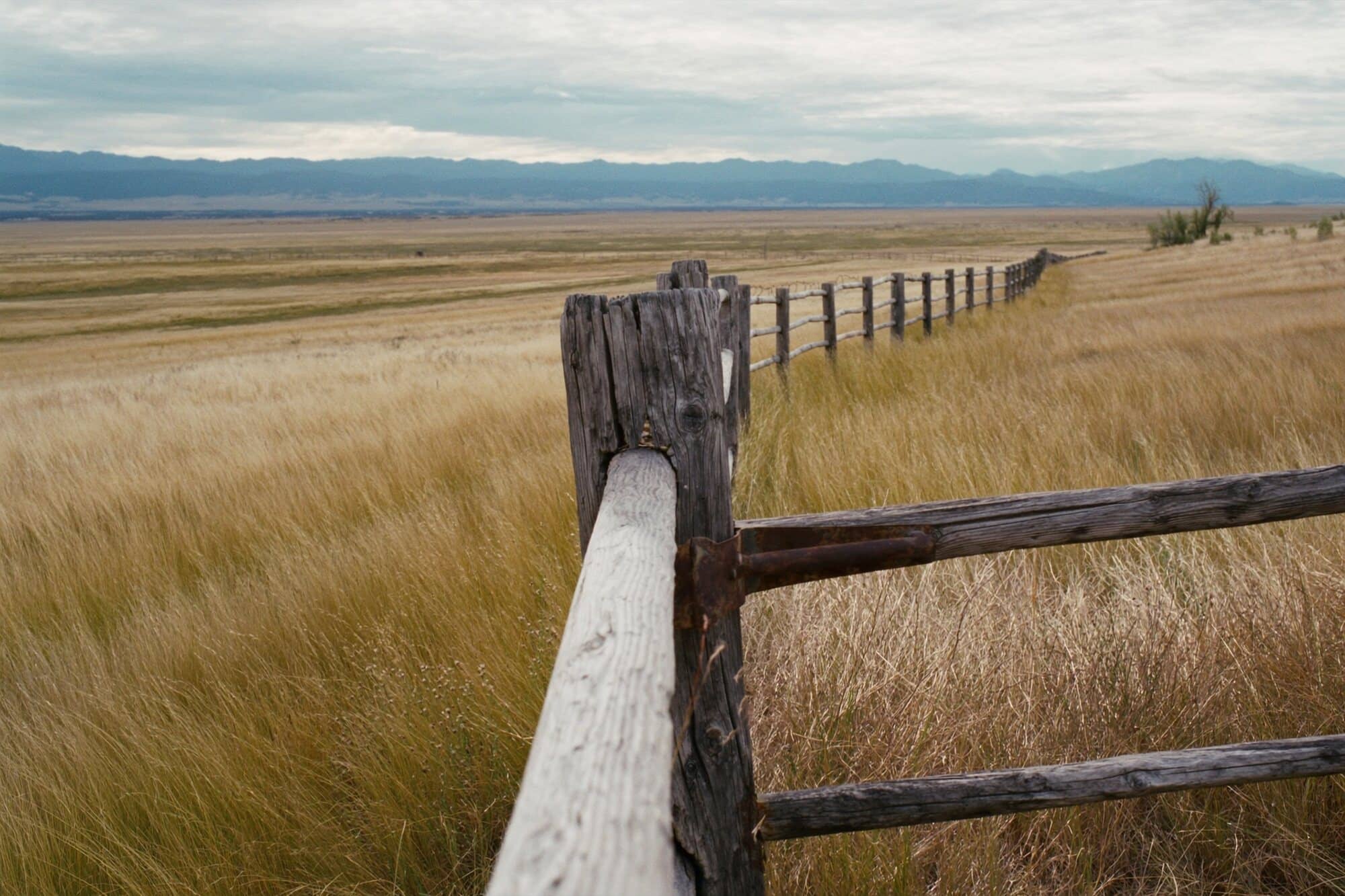 A weathered wooden ranch gate and cedar-post fence line across open grassland.