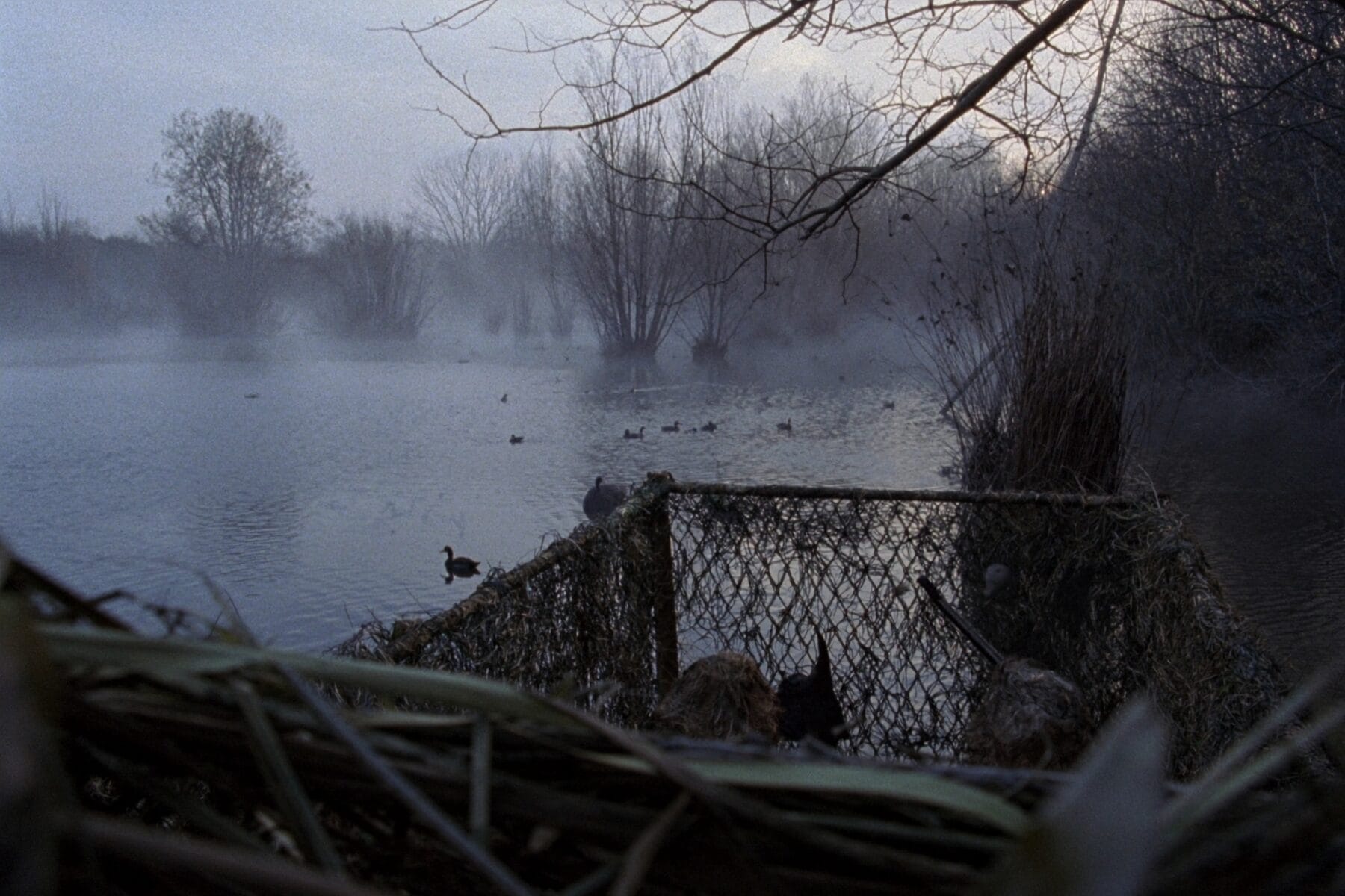 A brushed-in blind looking out over a misty slough at dawn, decoys set on the open water.